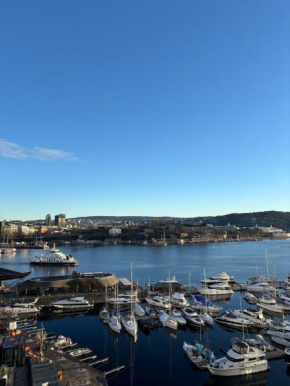 Tjuvholmen gem with rooftop terrace and parking